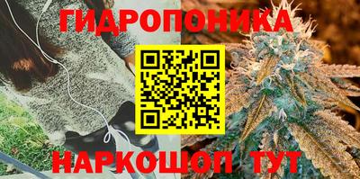 ПСИЛОЦИБИНОВЫЕ ГРИБЫ Можга
