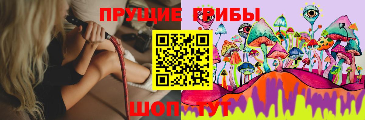 Галлюциногенные грибы GOLDEN TEACHER Торжок